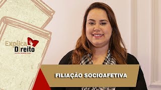 Explica Direito Filiação Socioafetiva  2019 [upl. by Gereron]