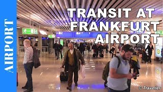 TRANSIT WALK AT FRANKFURT Airport FRA Terminal 1  Connection Flight Transfer Arriving amp Departing [upl. by Ttennaej859]